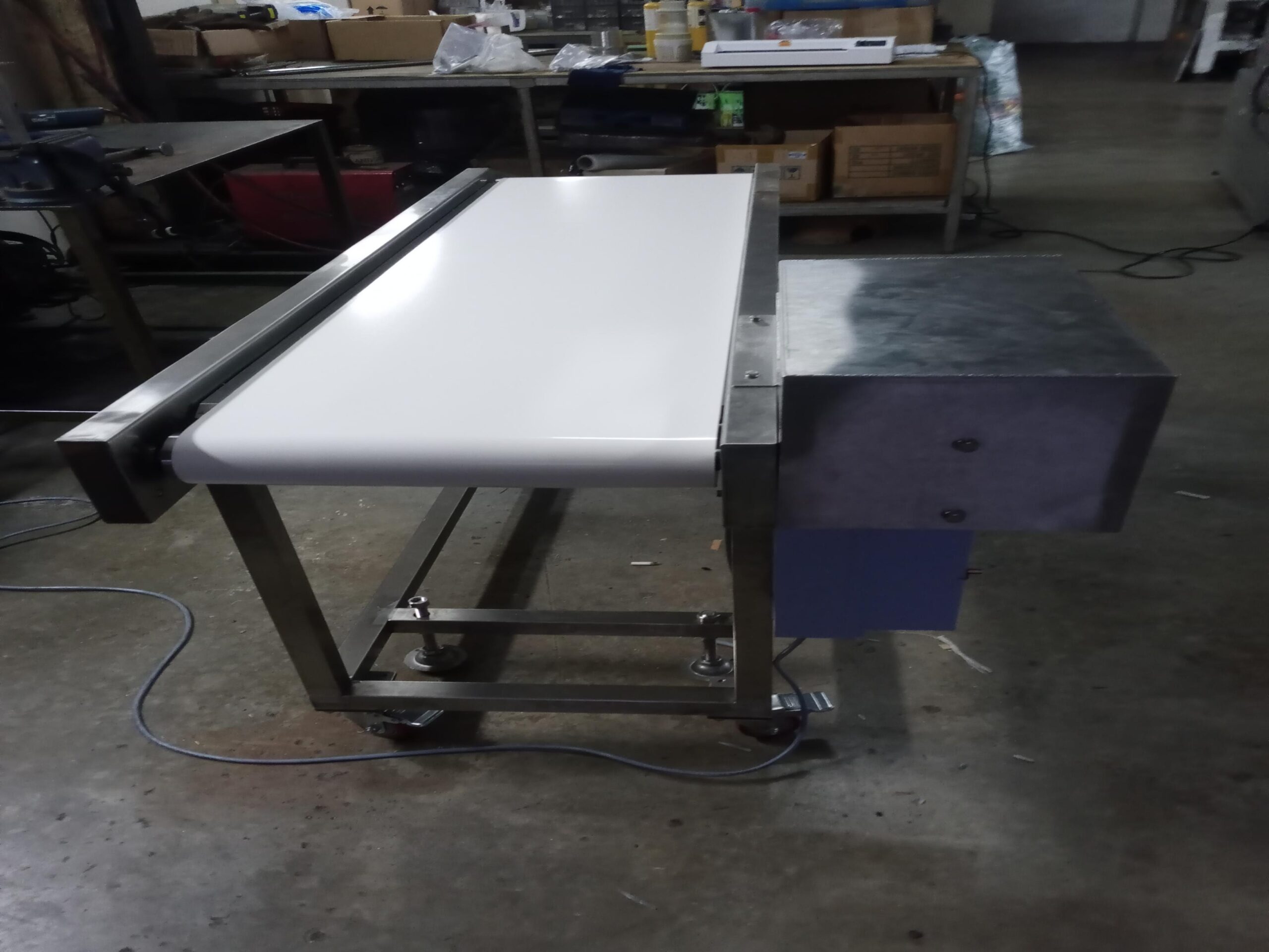 Pure Automation - Stainless Steel Inclined Conveyor for Food & Beverage manufacturing with automation system